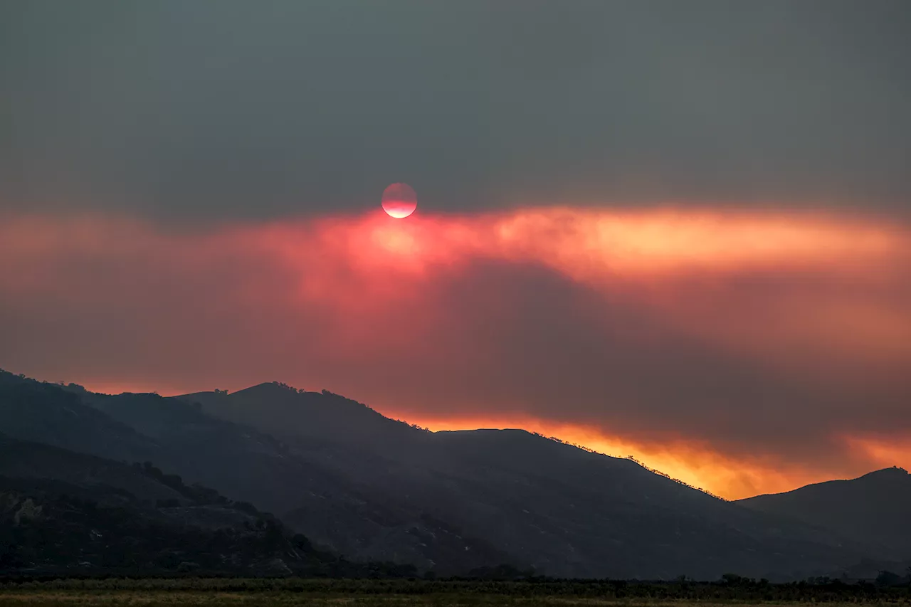 California's 4 Million-Acre Battle: Wildfire Safety or Increased Ignition Risk?