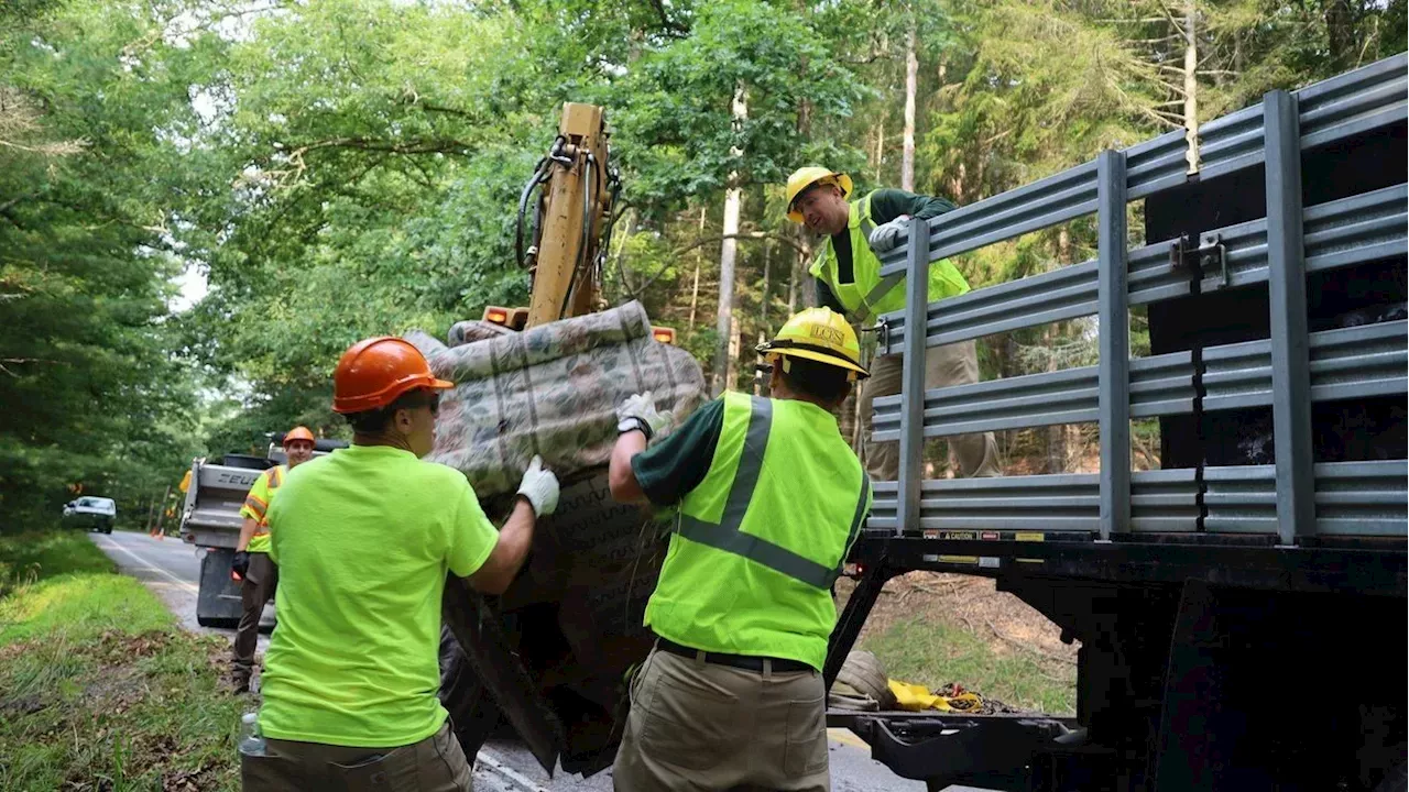 Route 233's Trash Crisis: The High Cost of Dumping in Michaux State Forest