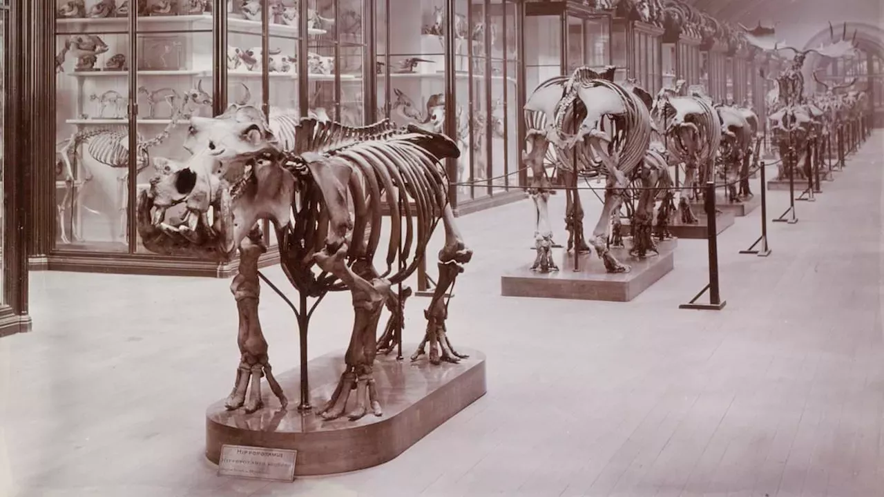 Natural History Museum Ends 80-Year Silence with 'Nature and Us' Gallery