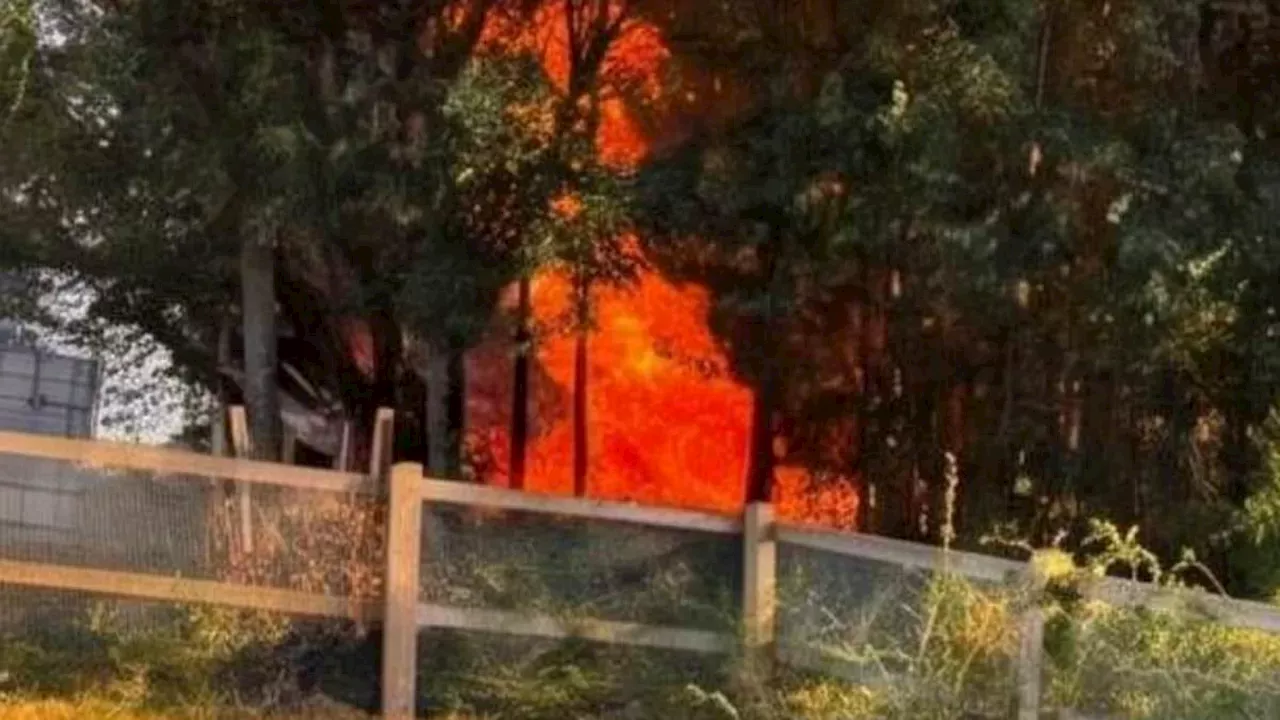 Fire and Bone: The Mystery of the Bedfont Lakes Discovery