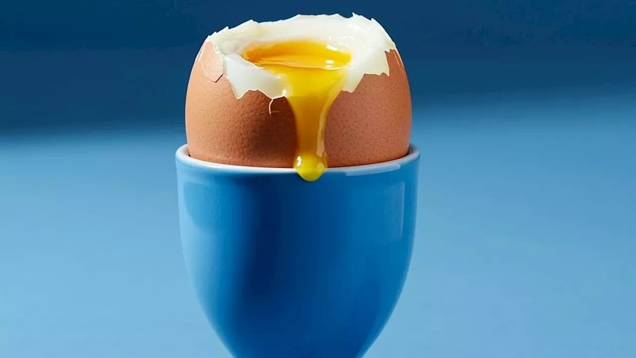 UK Salmonella Outbreak: Imported Eggs Linked to 200+ Illnesses and One Death