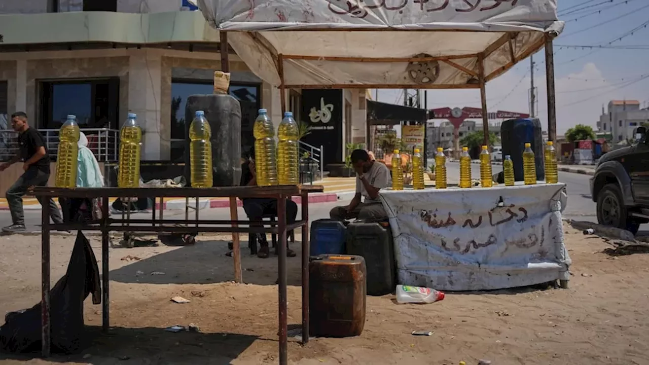 Gaza’s Shadow Economy: How Scarcity Fuels a Lucrative Smuggling Network