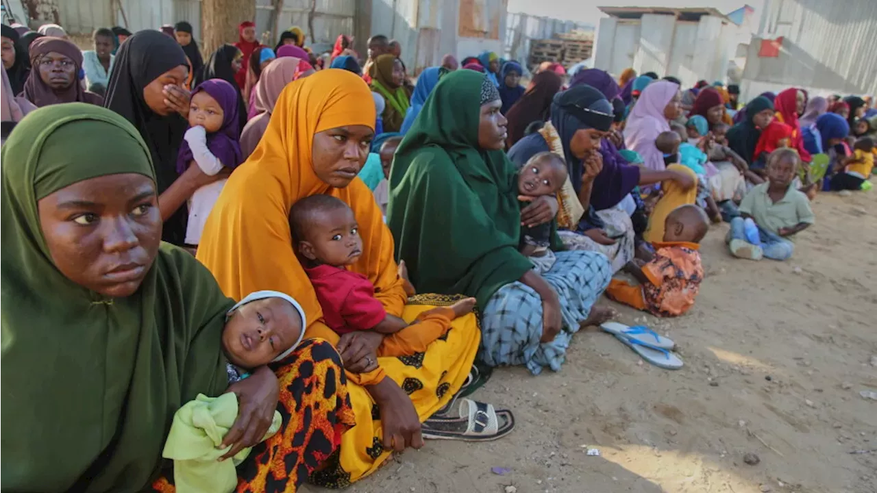 Somalia's Hunger Crisis: The Deadly Cost of Vanishing Aid