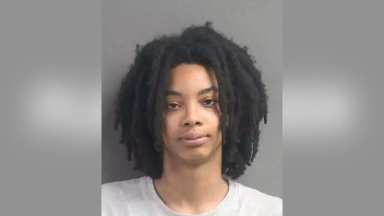 Daytona Beach School Dispute: A Mother's Arrest Over a Forgotten Backpack