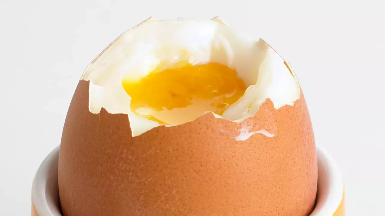 Lion-Marked Eggs vs. FSA: The Battle Over Salmonella Warnings