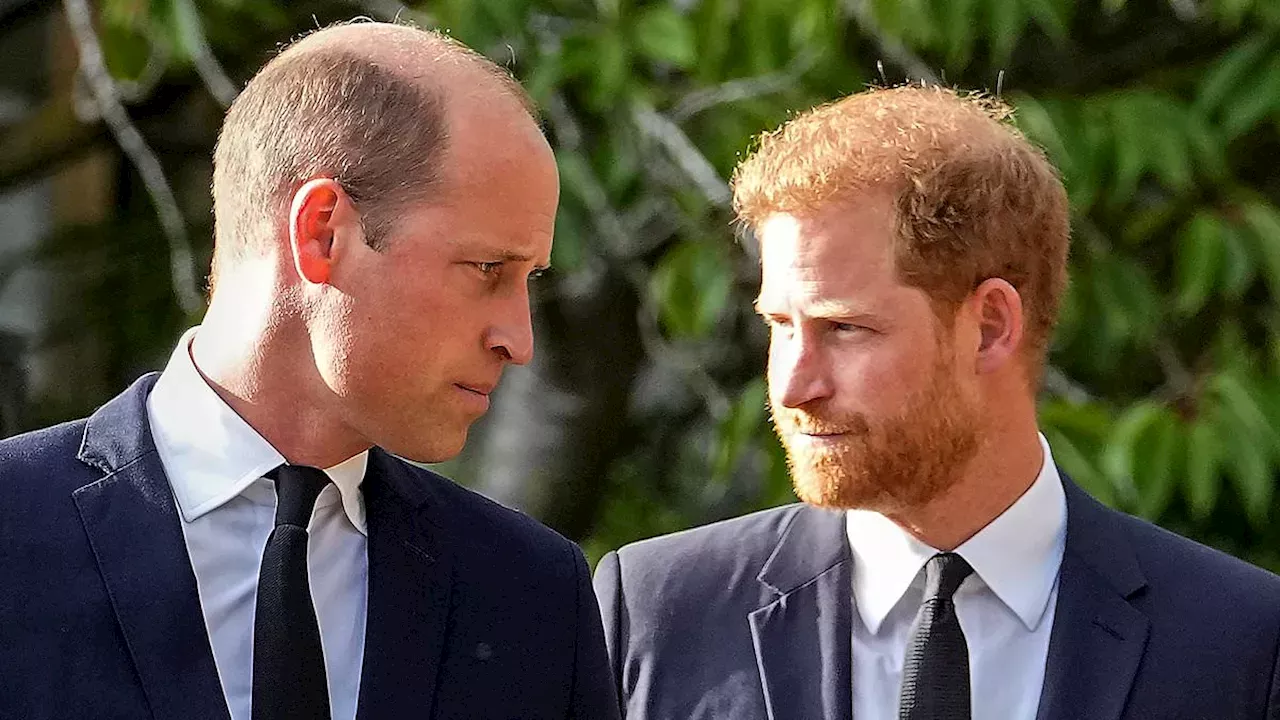 The Public's Verdict: Why Britons Want Prince Harry to Lead the Royal Reconciliation