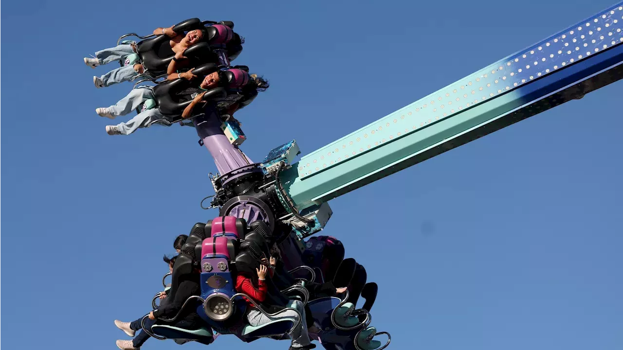 San Jose's 82nd Santa Clara County Fair: A Blend of Bao Buns and 4-H Tradition