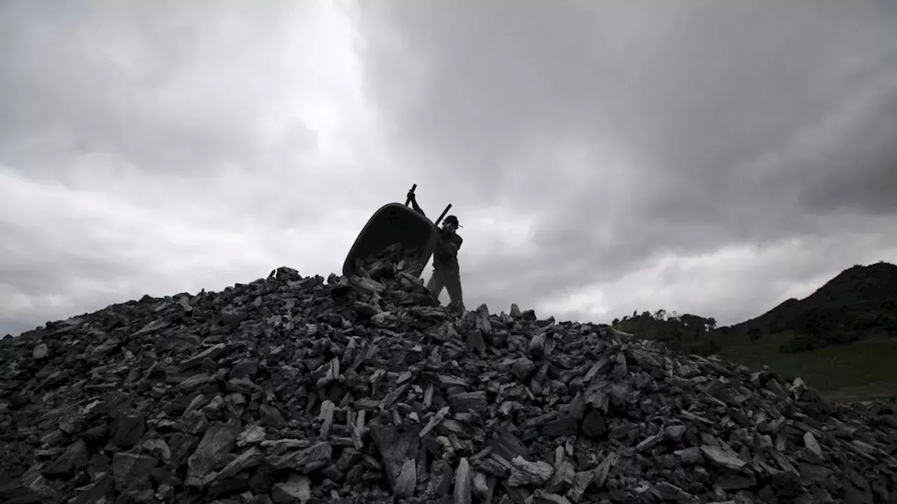 Colombia Ends Coal Export Ban to Israel to Restore Economic Certainty