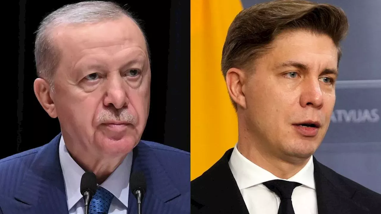 Ankara's Baltic Ambitions: Decoding Erdogan's Push for Lithuanian Defense Ties