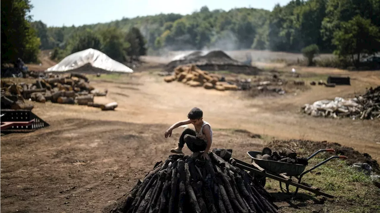 The Last Embers of Kocaeli: Mehmet Durak’s Fight for Traditional Charcoal