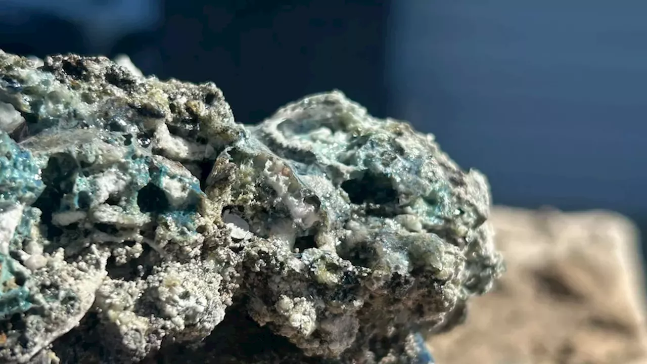 From Edmonton's Blue Glass to White House Trade Wars: A Volatile News Cycle