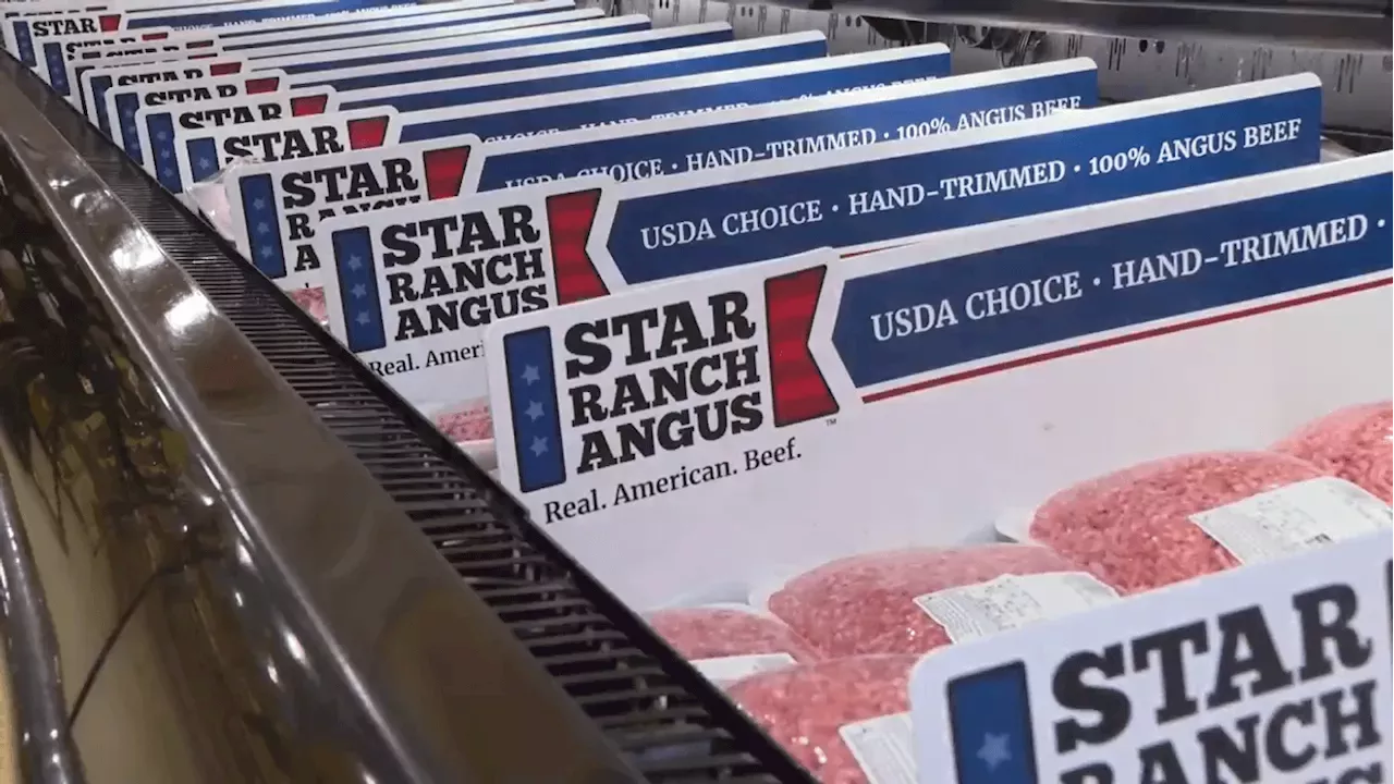 Trump's 700-Million-Pound Beef Tariff Pause: A Blow to US Ranchers?