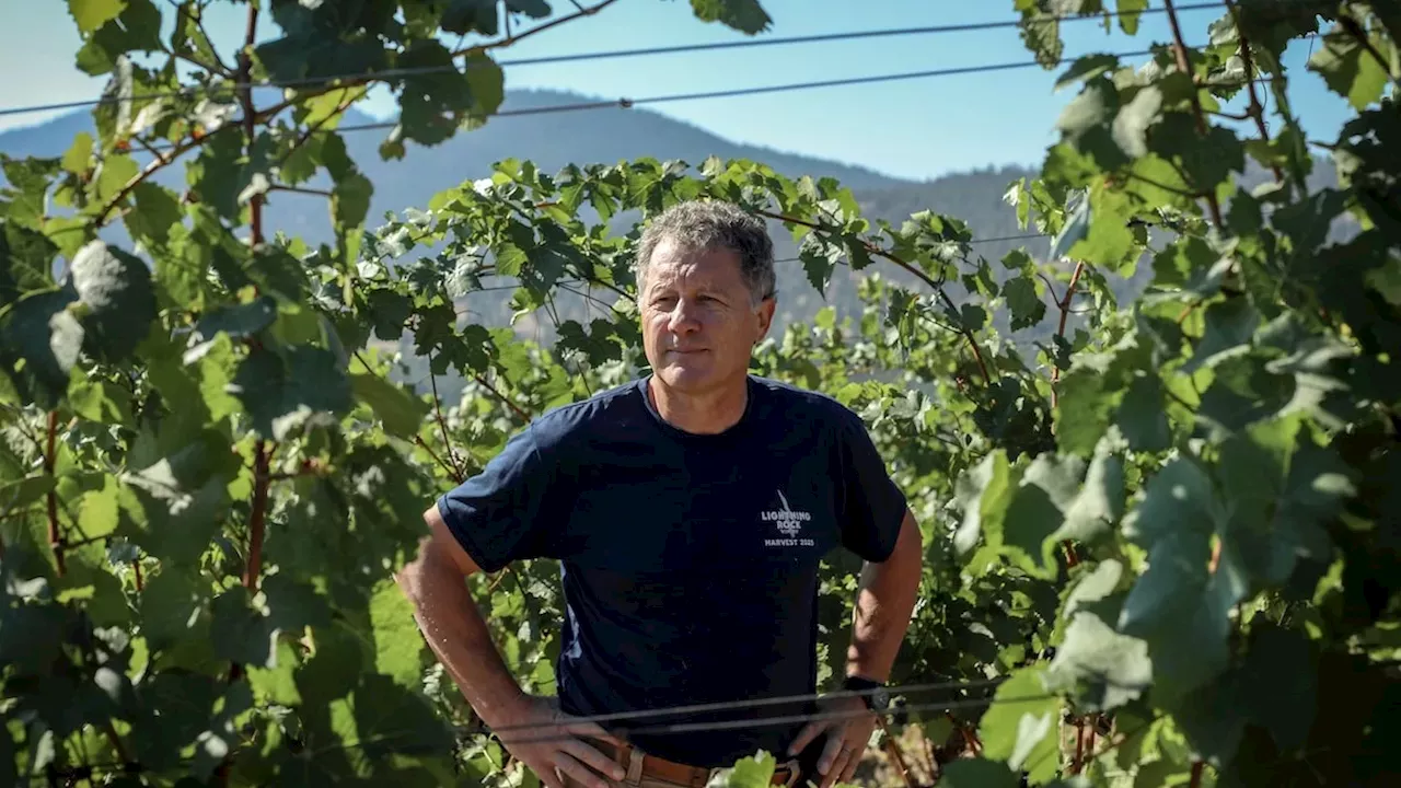 The 50% Tariff Wall: Canadian Wineries Pivot Home as U.S. Markets Close