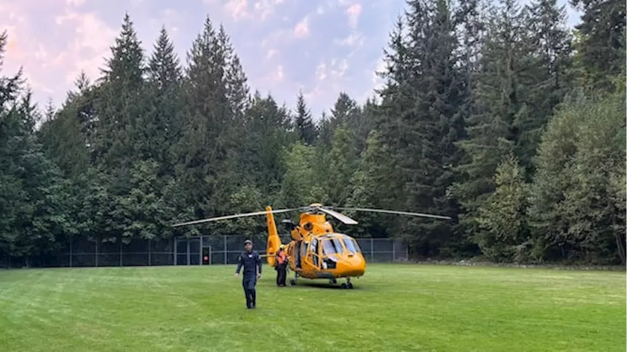 The Redoubt Wall Wasp Attack: Why 100 Stings Forced a Vancouver Helicopter Rescue
