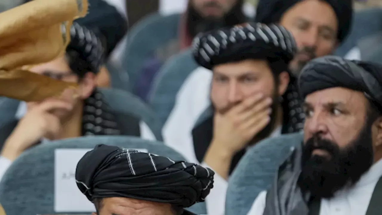 The Slutz Cover-Up: Why Belarus is Erasing the Taliban's Dairy Visit
