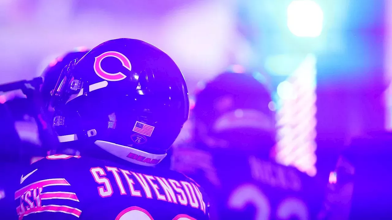 The 2026 Bears' Gamble: Can Youthful Leaps Offset Veteran Gaps?
