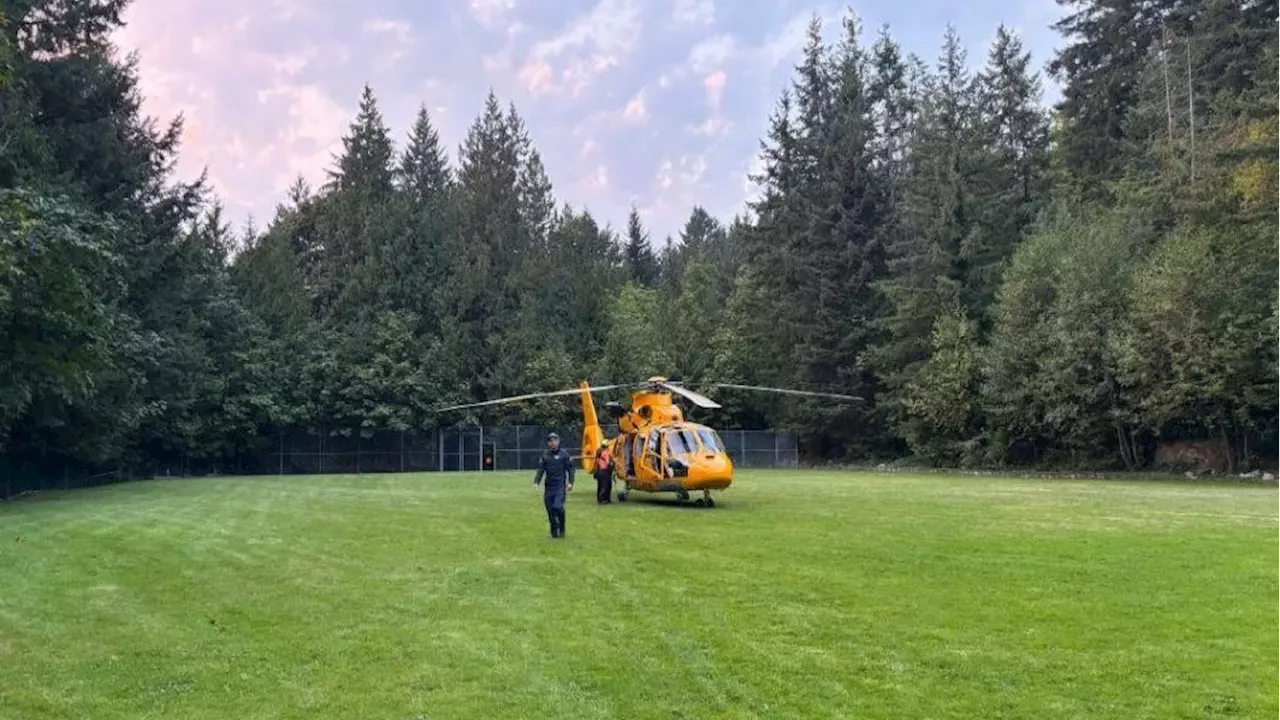 Wasp Swarm Triggers High-Stakes Helicopter Rescue at Redoubt Wall