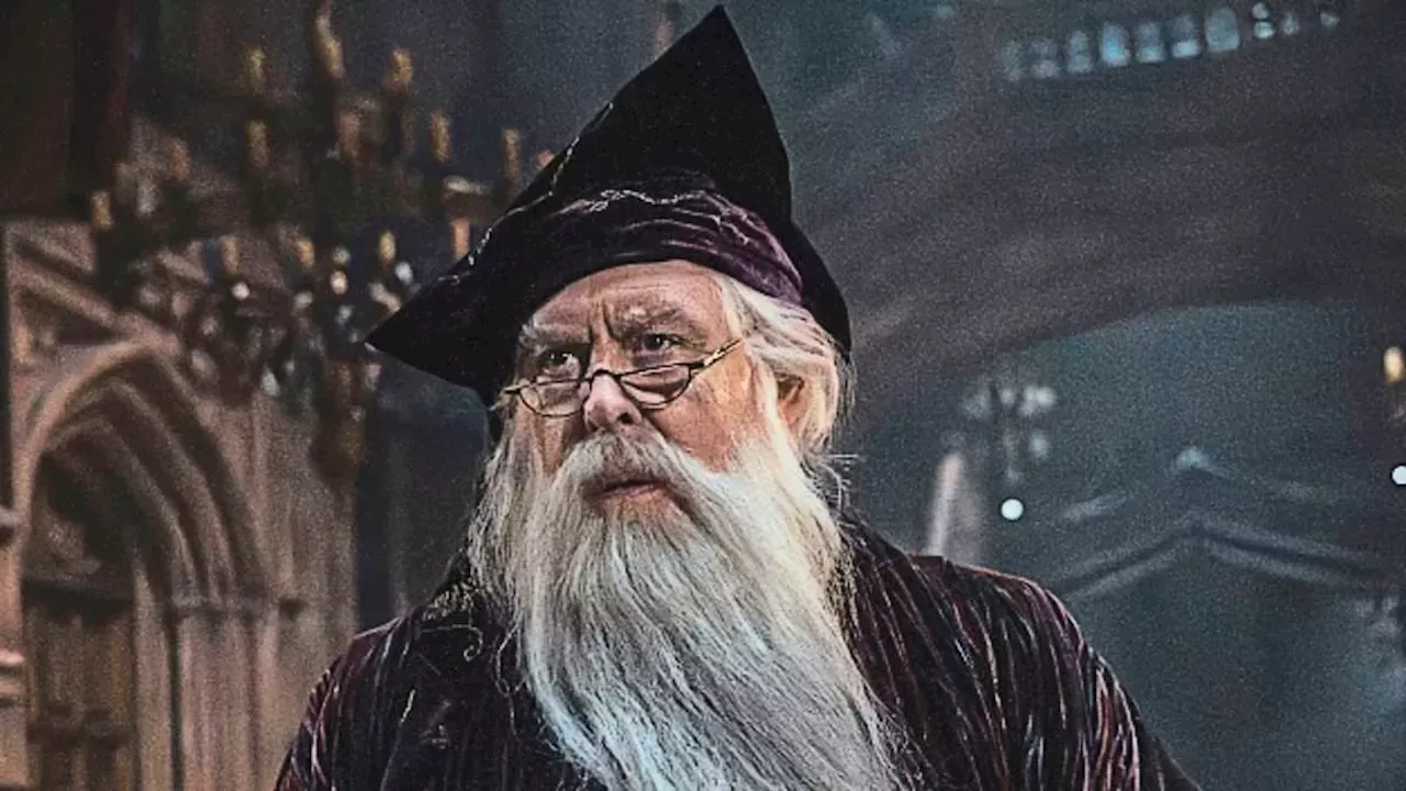 The Boy Who Lived, The Author Who Divided: HBO's Harry Potter Gamble