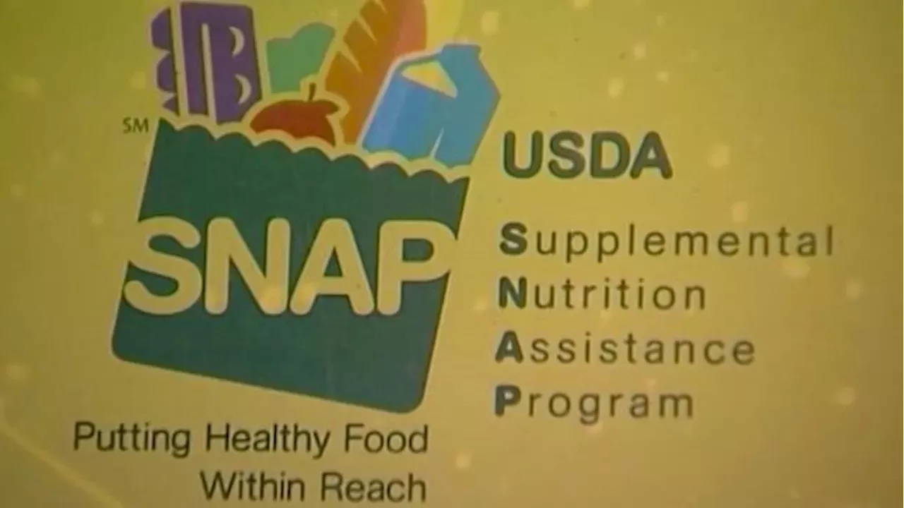 Bureaucratic Limbo: San Antonio Refugees Lose Food Aid to Green-Card Delays