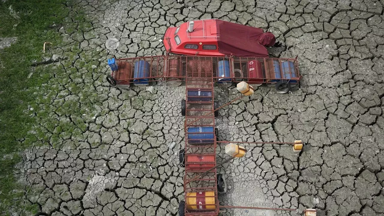 The Drying Danube: How 30°C Heat is Killing Serbia's Juvenile Fish