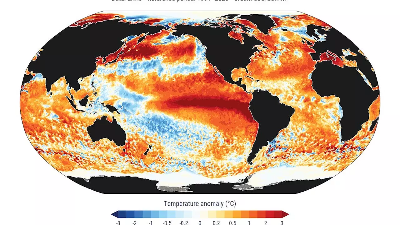 The 40% Surge: How Warming Oceans are Supercharging El Niño