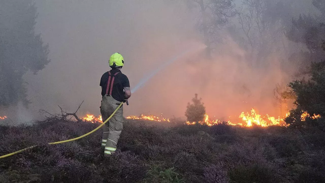 The Tinderbox Effect: How Defra’s Moorland Policies Are Fueling UK Wildfires
