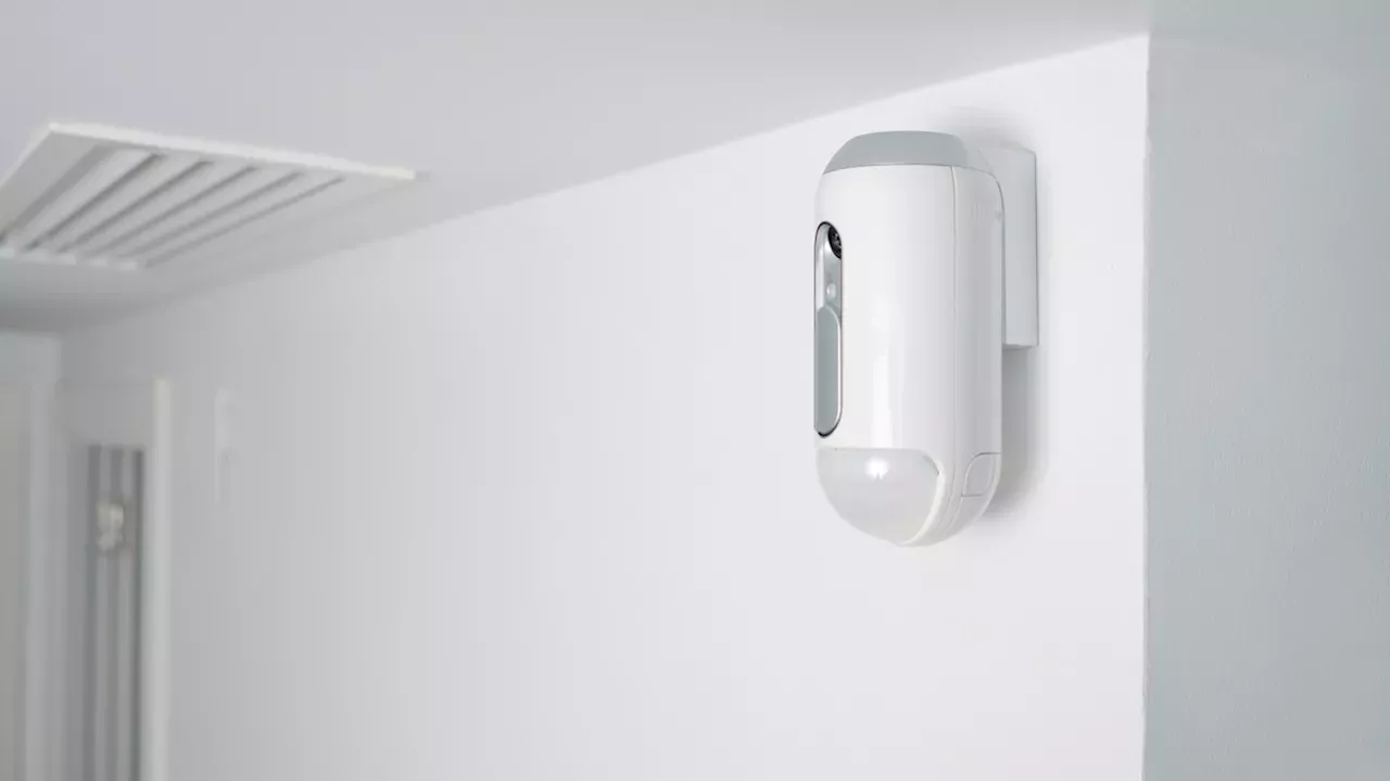 The $18 Security Guard: Mastering Motion Sensor Positioning for Maximum Coverage