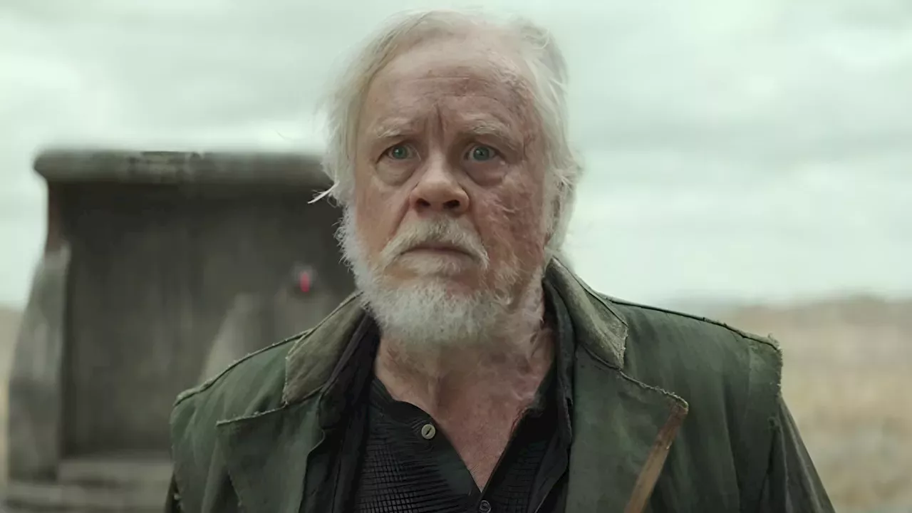 The Architecture of Redemption: Tim Robbins' Bernard and the Fall of the Algorithm
