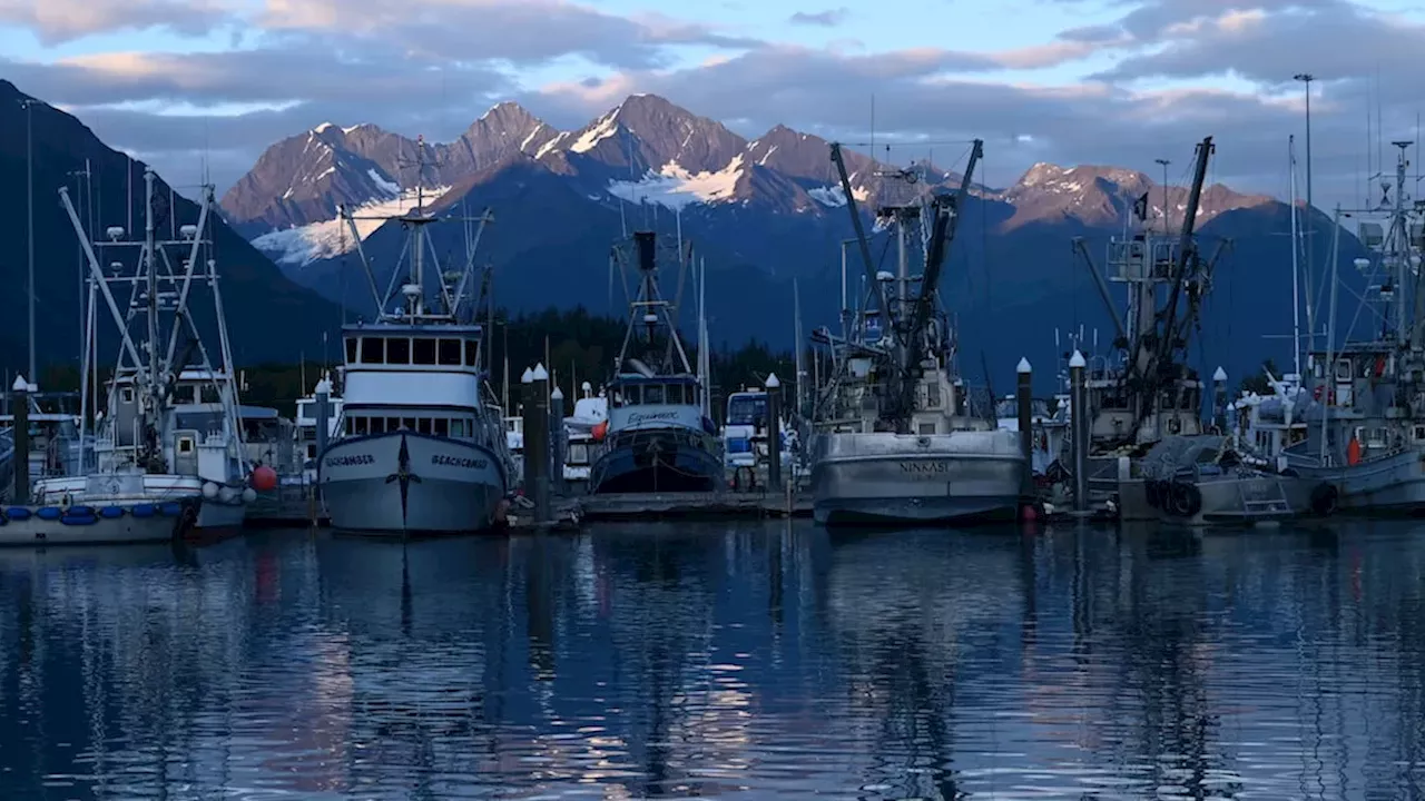 Alaska’s Silver Salmon Run: The Economic and Ecological Pulse of Valdez