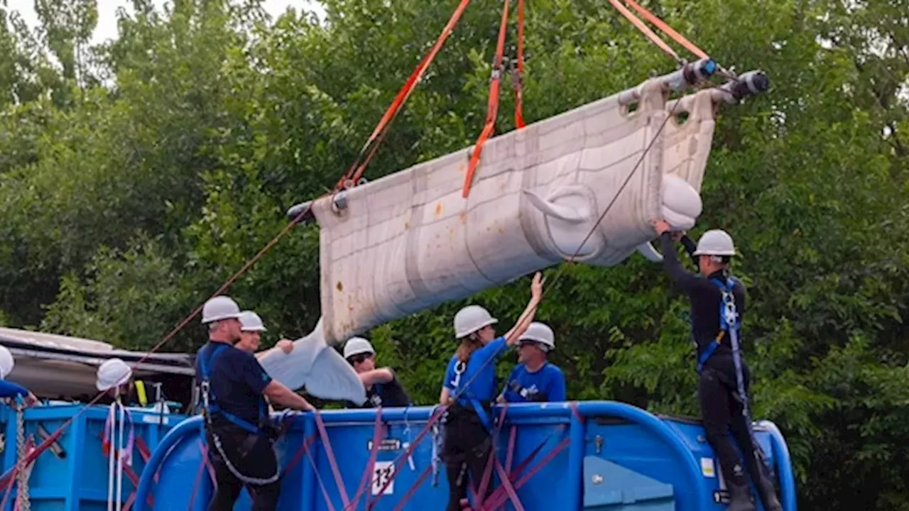 The Final Exit: Canada's Era of Captive Whales Ends at Marineland