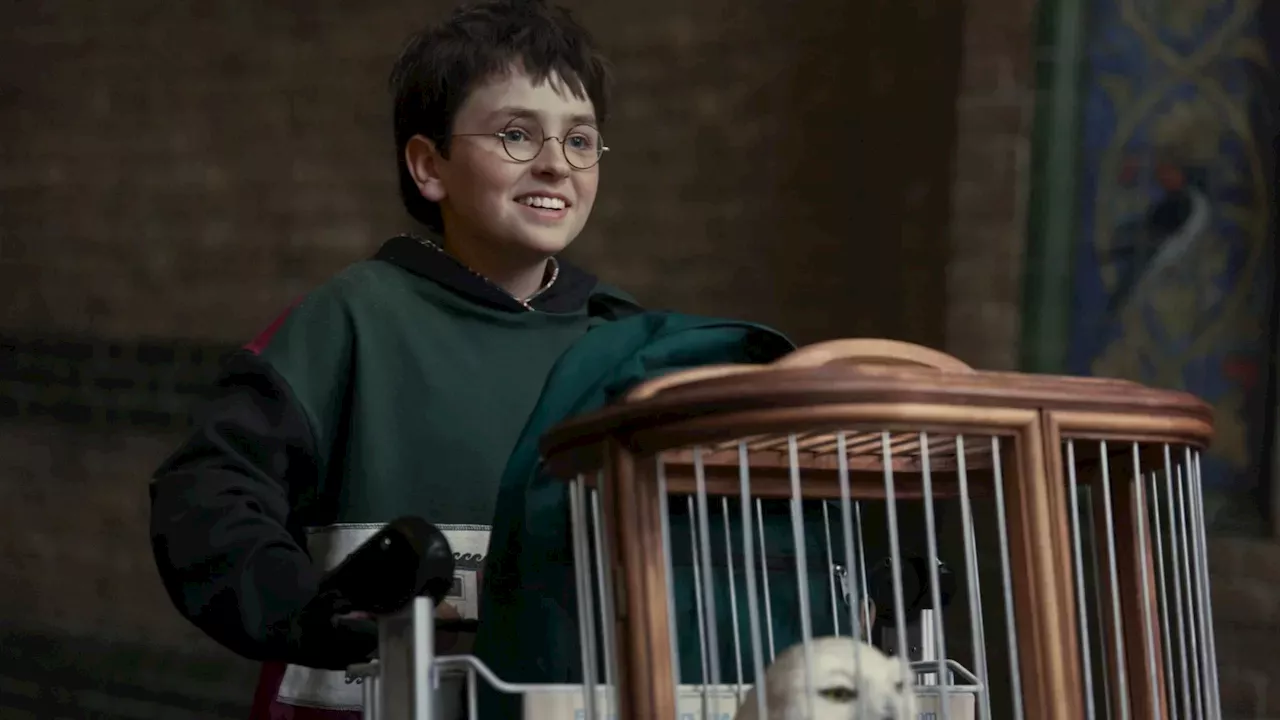 HBO’s Harry Potter Reboot Shifts Focus from the Dursleys to Quidditch