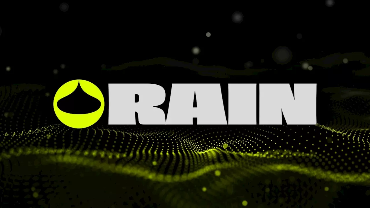 Rain Protocol's $23 Million Token Burn: A Test Case for Decentralized Governance