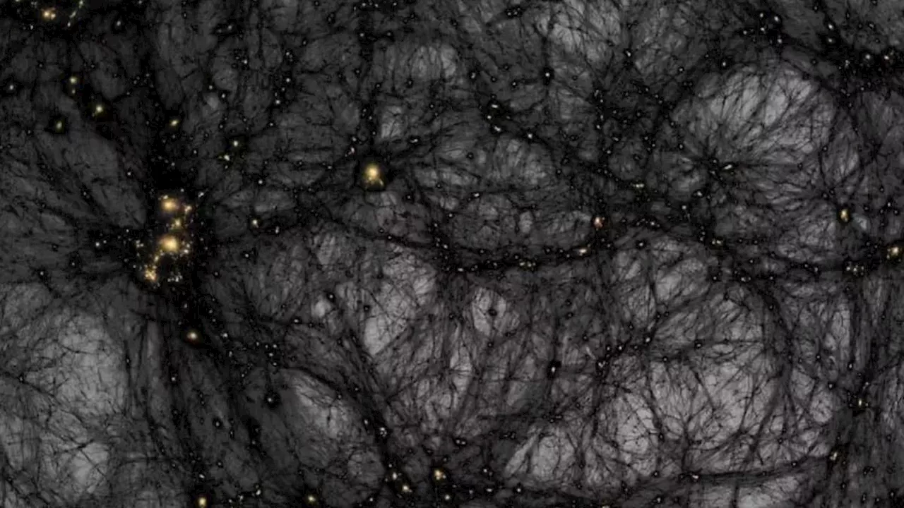 The 2.6 Sigma Signal: LUX-ZEPLIN’s Intriguing Hint of Dark Matter