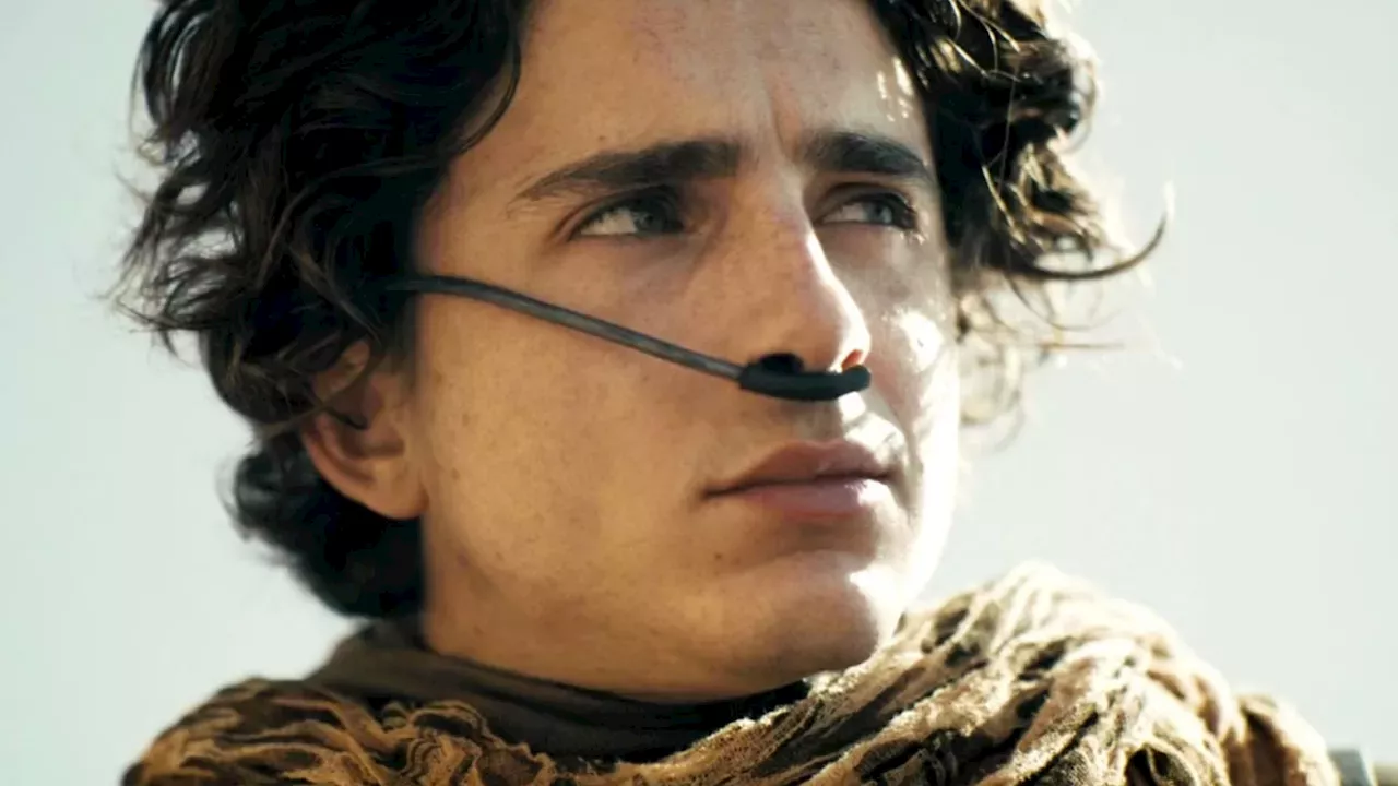 Timothée Chalamet's Interstellar Cameo: A Lesson in the Brutality of the Final Cut