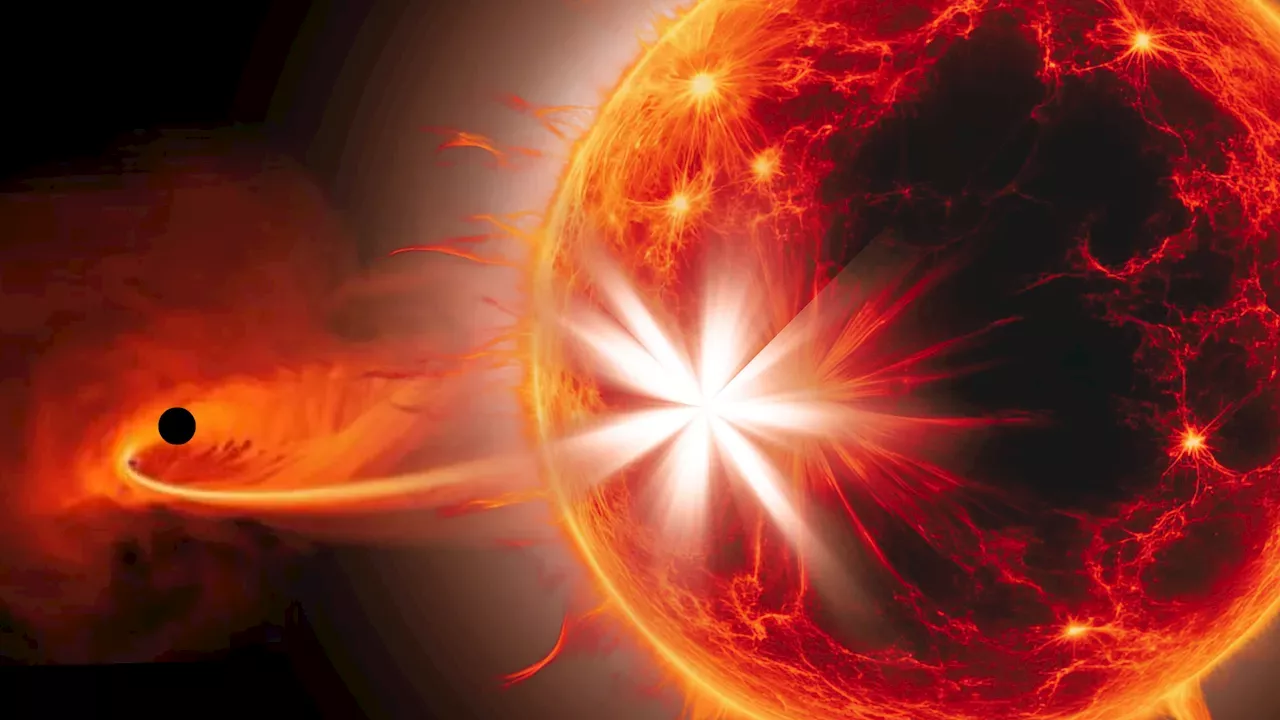 The Cosmic Snack: Why Some Stars Fade While Being Eaten by Black Holes