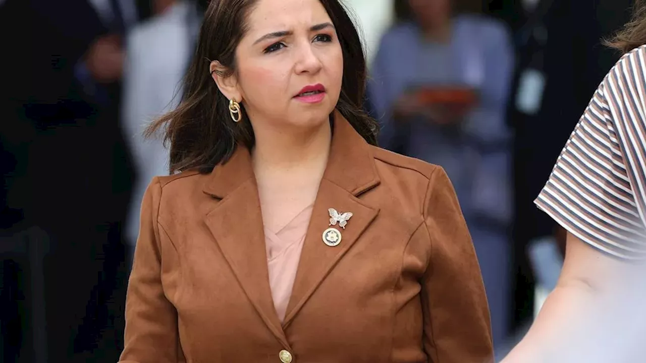 Beyond the 'Socialism' Label: Delia Ramirez Challenges House Resolution