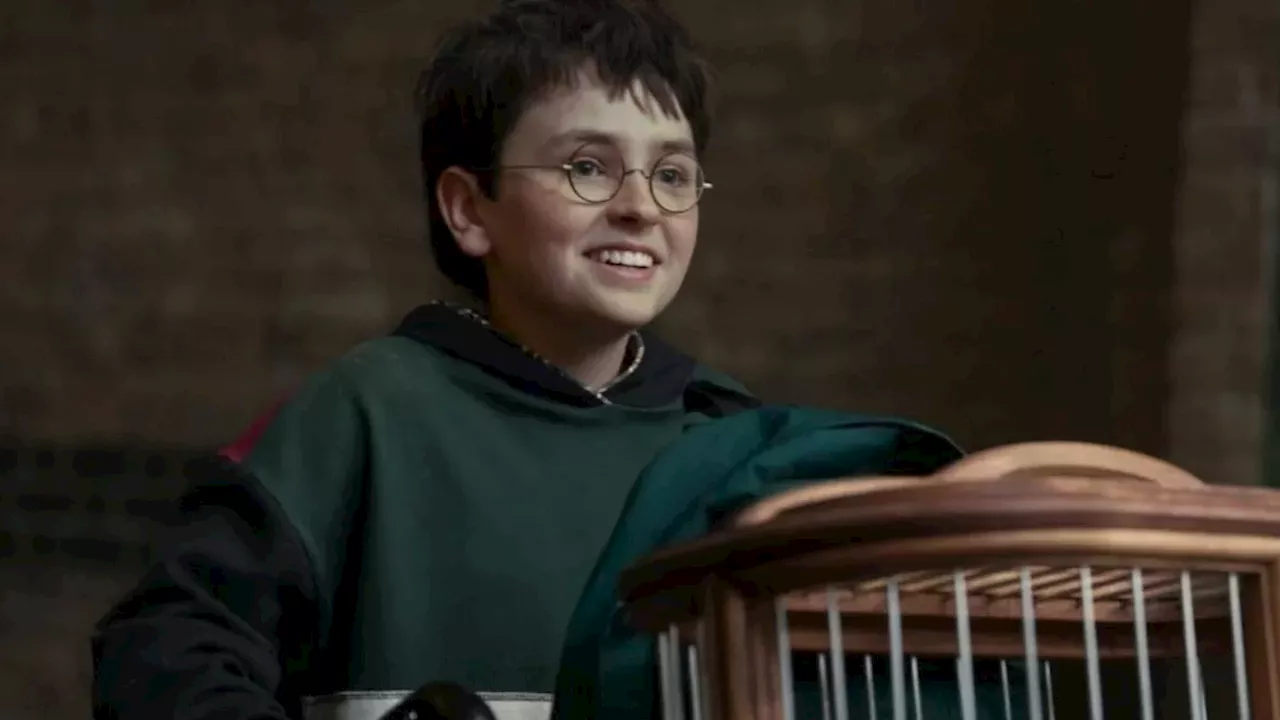 Beyond the Films: HBO Max Reimagines the Wizarding World