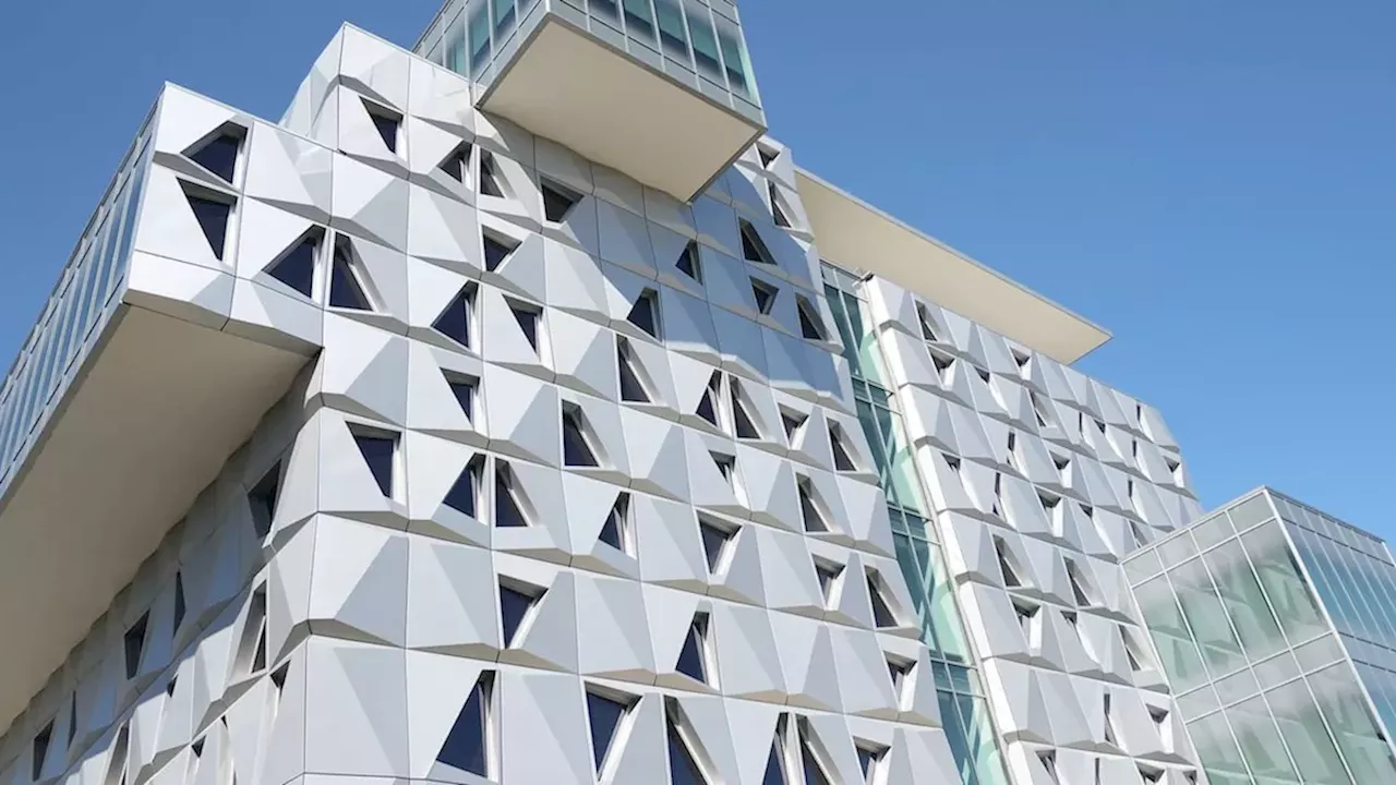 Beyond the Code: How the University of Florida is Democratizing AI