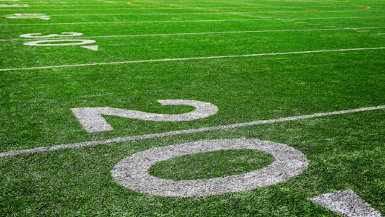 The Pittsburgh Sideline Scuffle: When a Coach's Meltdown Forfeits the Game