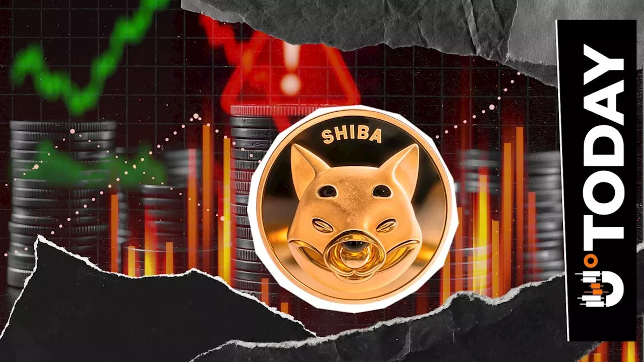 The $9 Billion Meme Coin Gamble: Inside the Shiba Inu Whale's Massive Exit