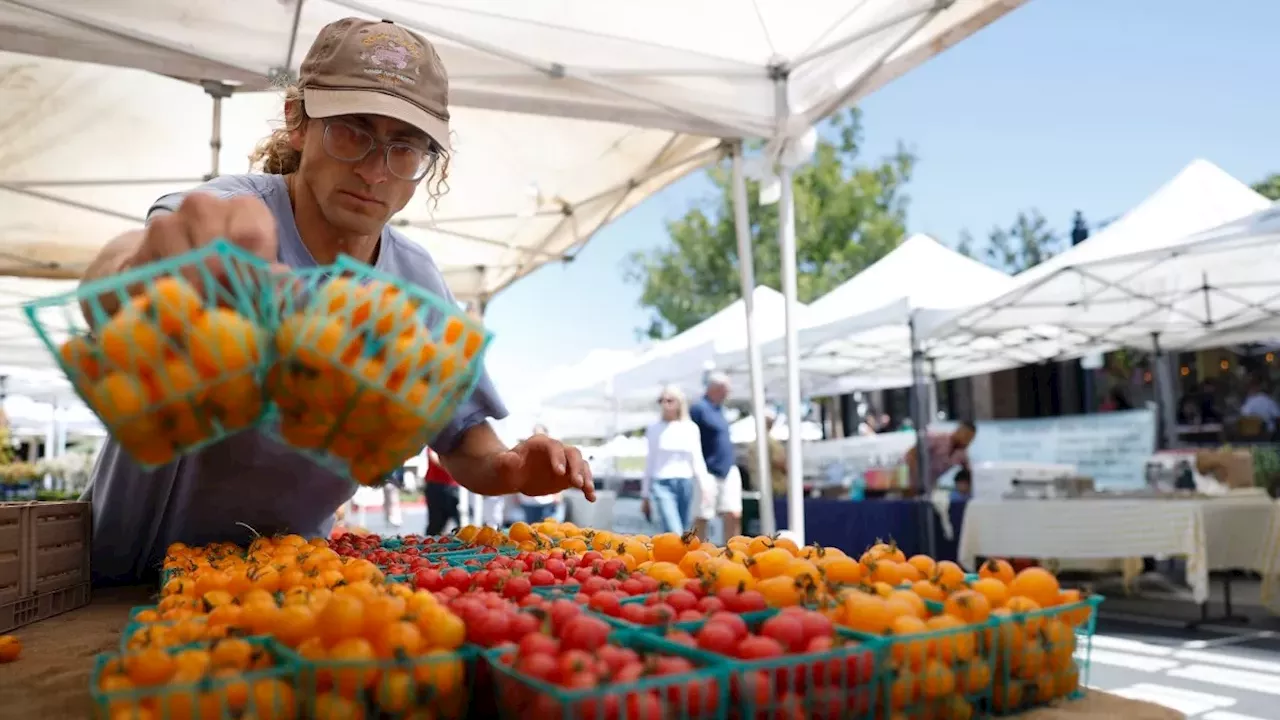 The "Regular" Advantage: How Farmers Market Loyalty Rewires Your Diet
