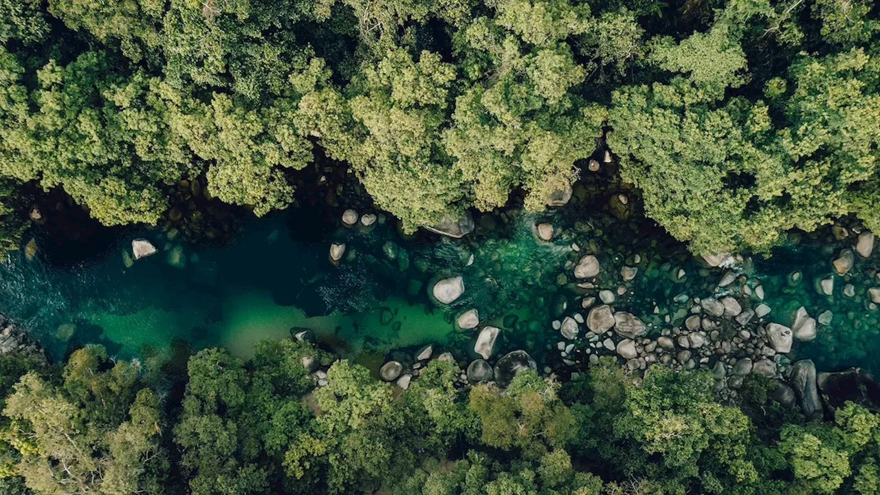 Beyond the Reef: Unpacking the Ecological and Cultural Layers of Tropical North Queensland