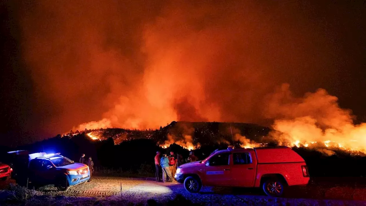 The Heuristics of Fear: Why a 5°C Warming Could Redefine Human Habitability