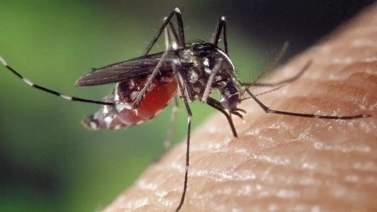 Safety Lapses and Social Shifts: From Boeing's Fines to Ontario's West Nile Cases