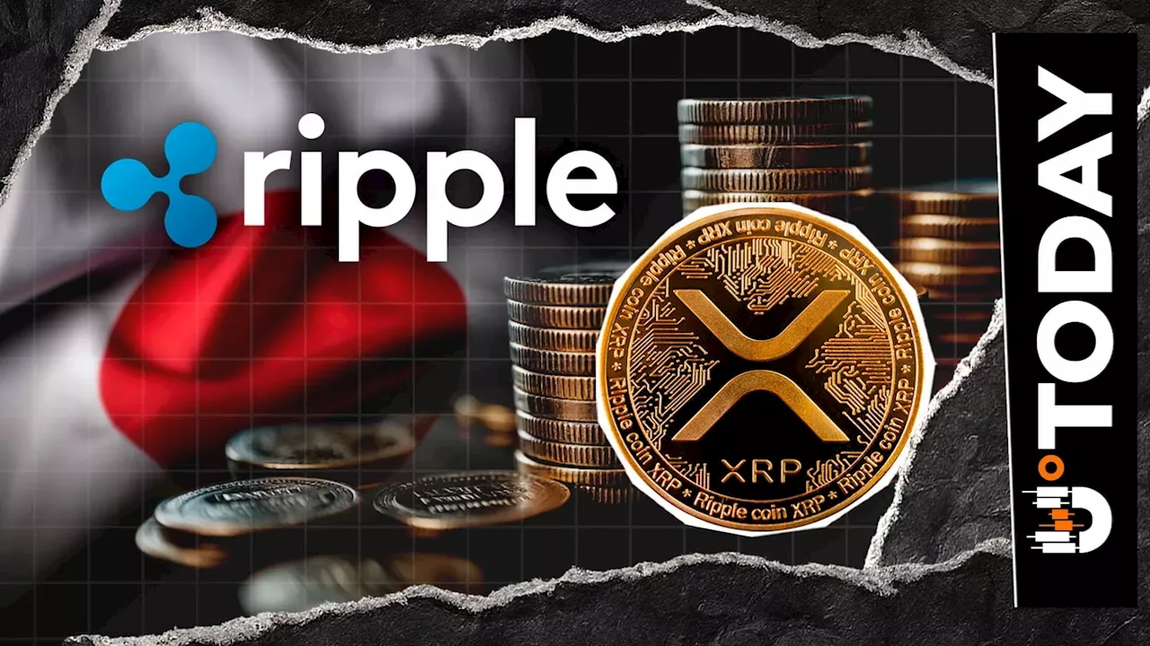 Remixpoint Pivots to Pure Bitcoin Standard After €878 Million Altcoin Exit