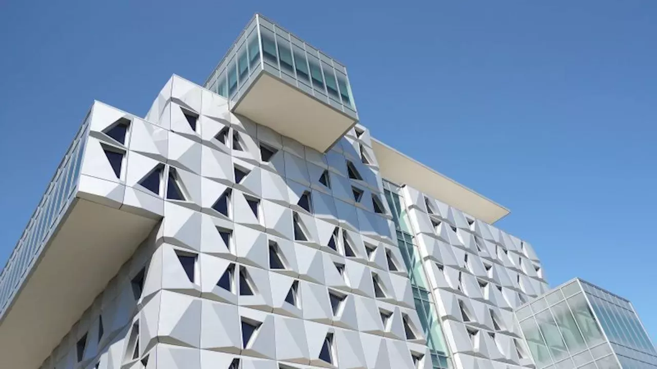 Beyond the Engineering Lab: The $95 Million Push to AI-Proof the University of Florida