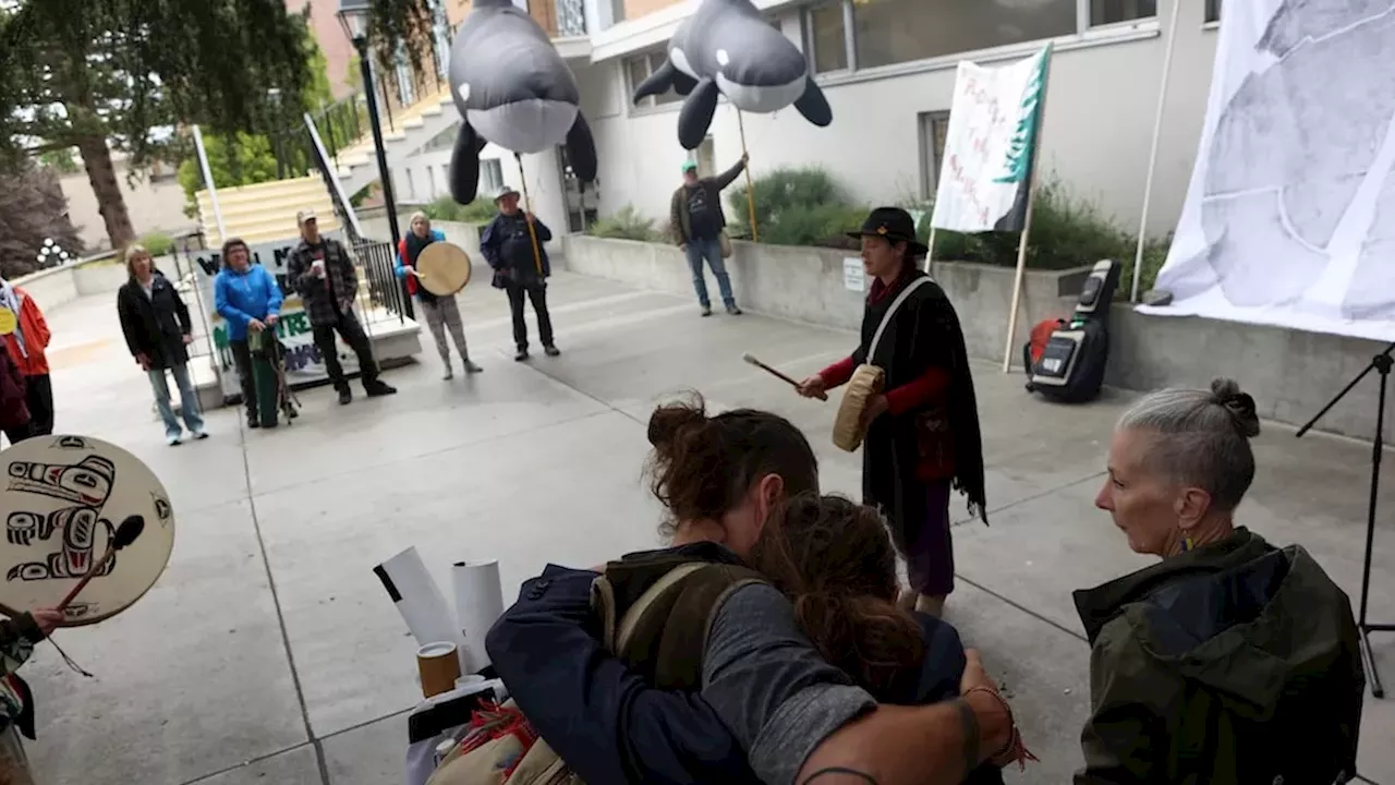 Spiked Trees and Legal Standoffs: The Escalating Conflict in Walbran Valley