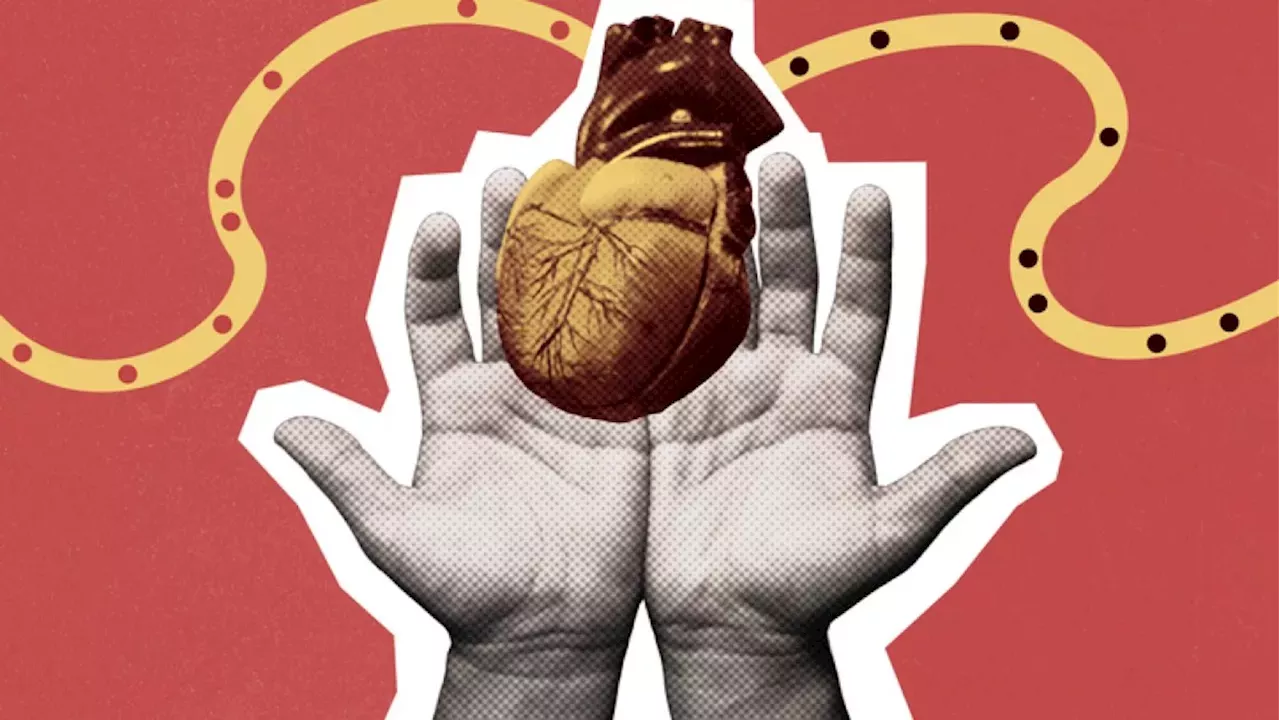 Luxury Jets and Medical Horror: The Federal Case Against DCI Organ Services