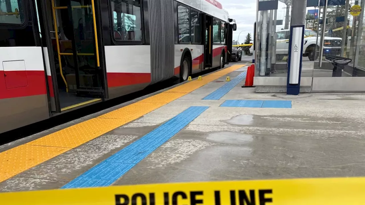 Safety Gaps in Calgary: Transit Collision Sparks Infrastructure Debate