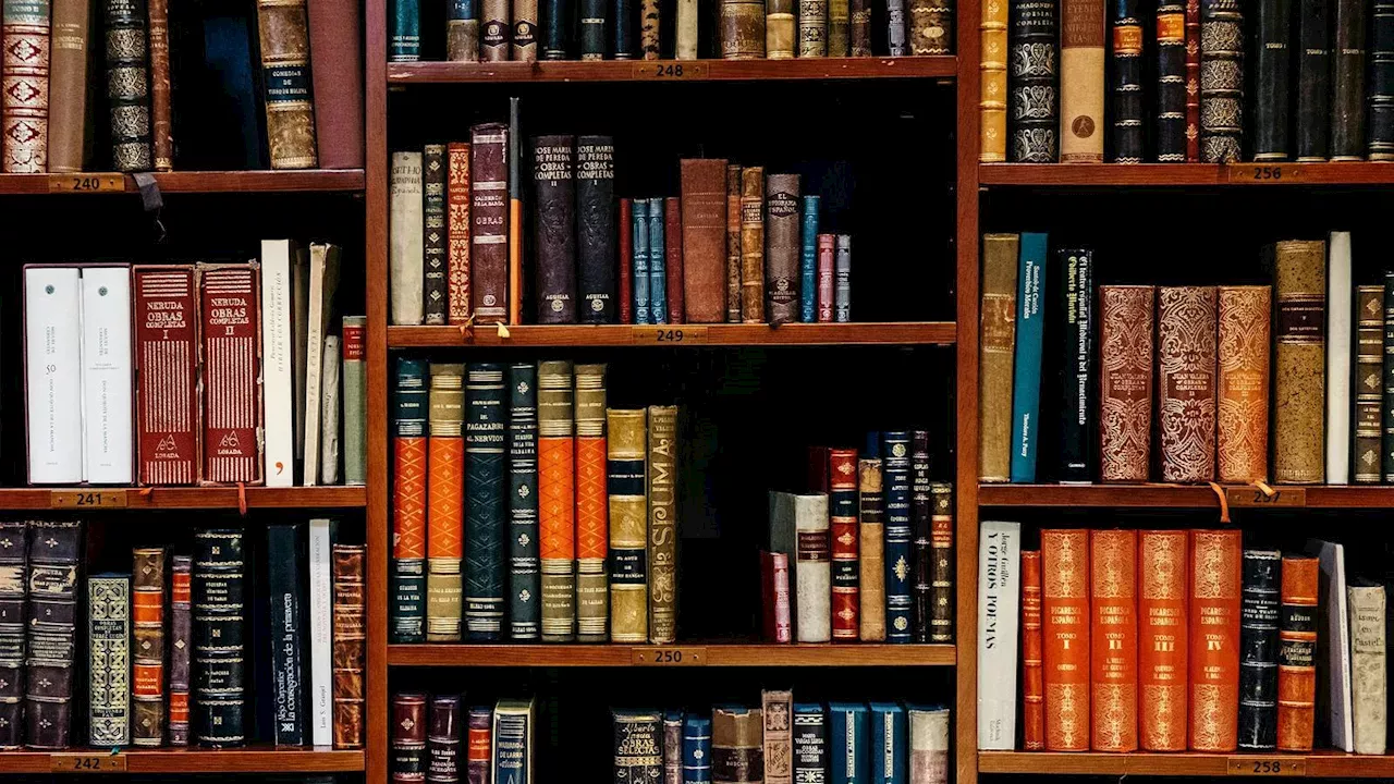 Beyond Gatsby: The New Literary Canon for Future Classrooms